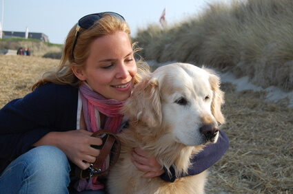 Bei einer Hundebetreuung erfährt ein  Golden Retriever viel Fürsorge. 