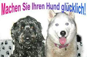 Infos zu Glückliche Hunde